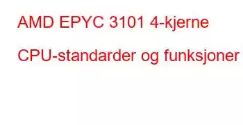 AMD EPYC 3101 4-kjerne CPU-standarder og funksjoner