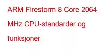 ARM Firestorm 8 Core 2064 MHz CPU-standarder og funksjoner