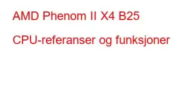 AMD Phenom II X4 B25 CPU-referanser og funksjoner